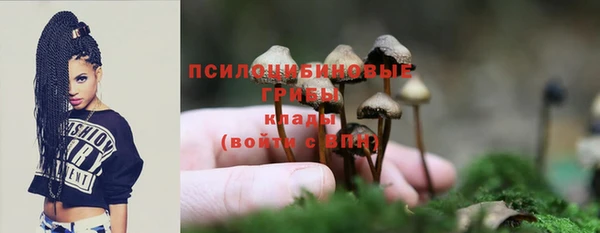 первитин Надым