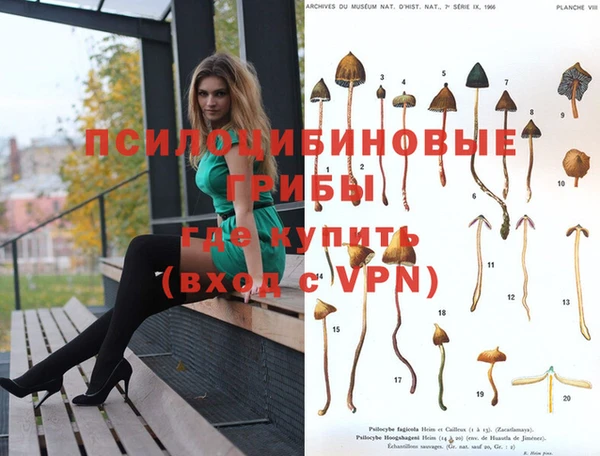 первитин Надым