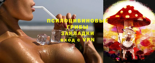первитин Надым