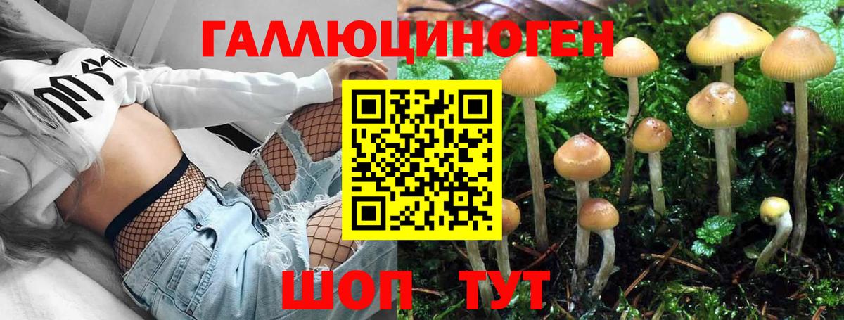 Галлюциногенные грибы Cubensis  Вход с VPN  Ярцево 