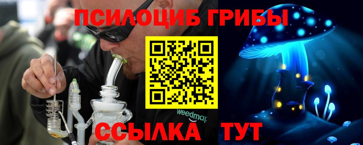 Псилоцибиновые грибы прущие грибы  Ярцево  Псилоцибиновые грибы прущие грибы 