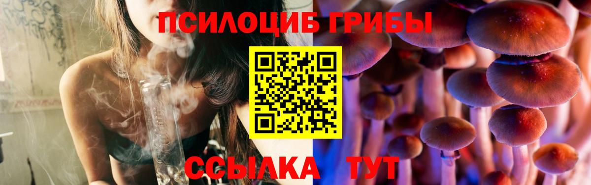 Псилоцибиновые грибы MAGIC MUSHROOMS Ярцево